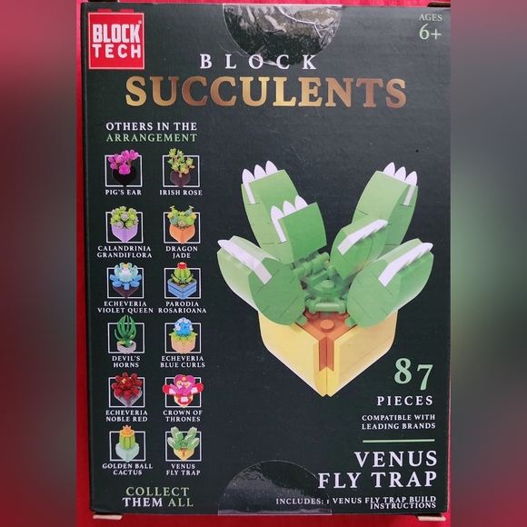 Venus Flytrap Succulent Building Blocks Kit - Picture 2 of 4